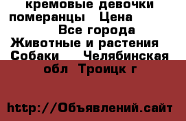 кремовые девочки померанцы › Цена ­ 30 000 - Все города Животные и растения » Собаки   . Челябинская обл.,Троицк г.